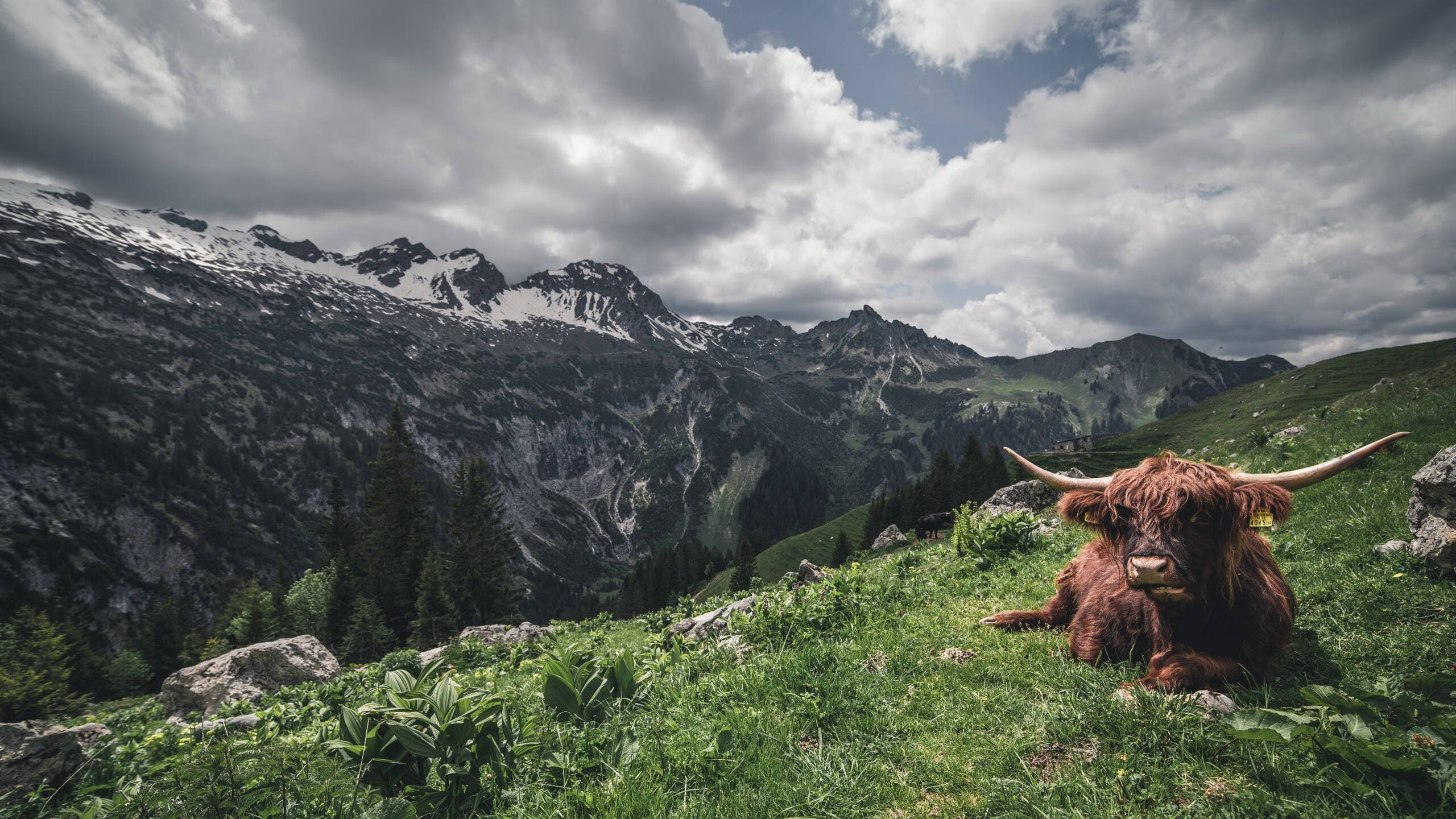 Kaiyun APP-传奇车手的最感人赛季回忆，传奇女车手