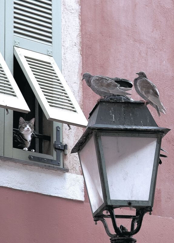 传奇回归!C罗助球队晋级欧冠四强,c罗欧洲杯助攻