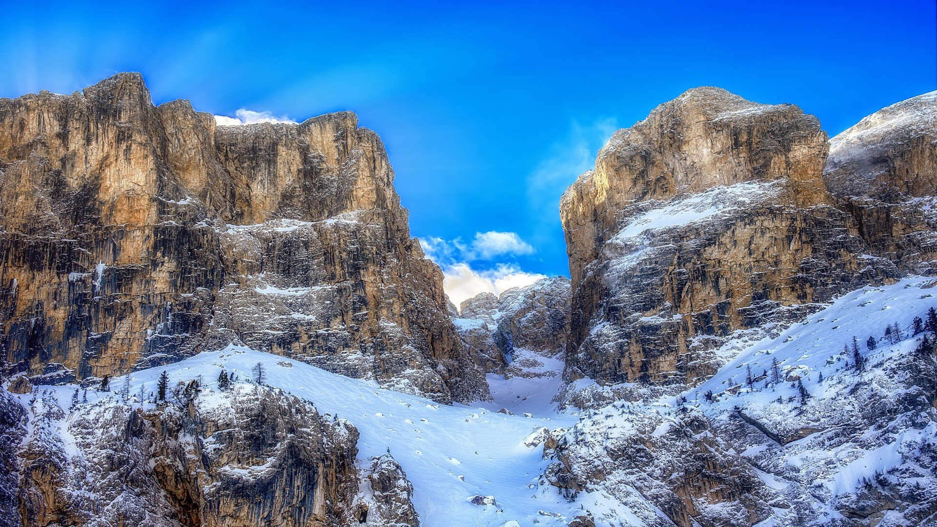 从没有放弃:一线运动员的拼搏精神,运动员坚韧不拔的精神