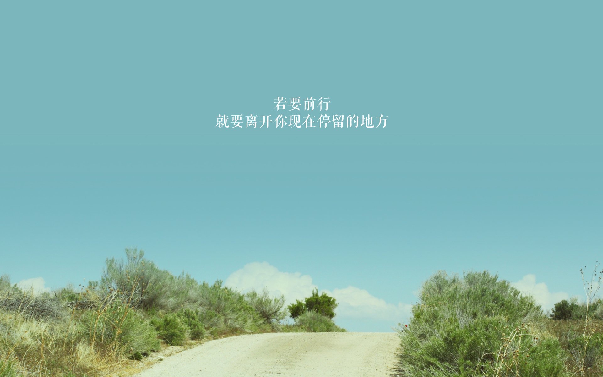 开云官方网页登录-全民篮球日：青少年联赛点燃城市体育热情，全国青少年篮球邀请赛