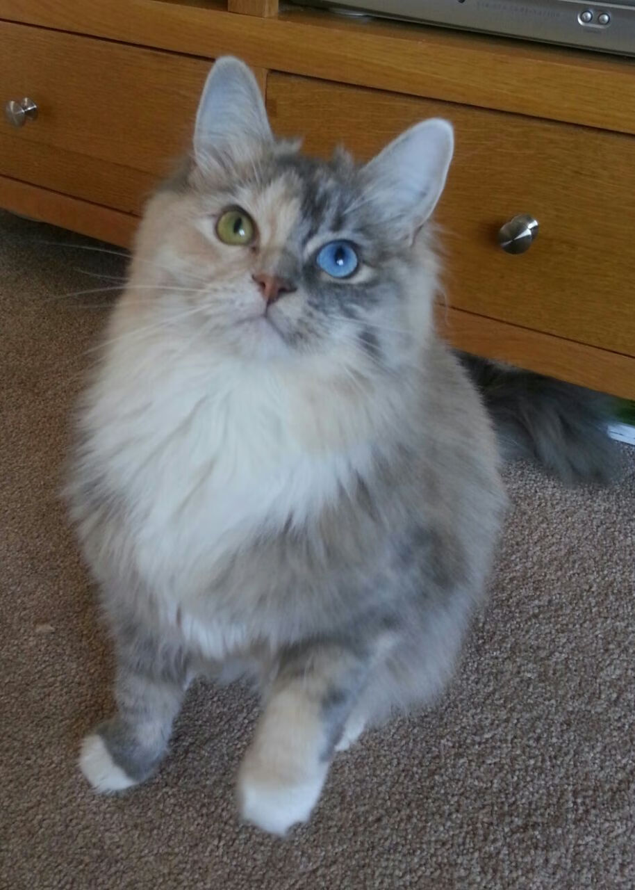 精彩回顾：年度十大极限逆转瞬间，极限反转小说