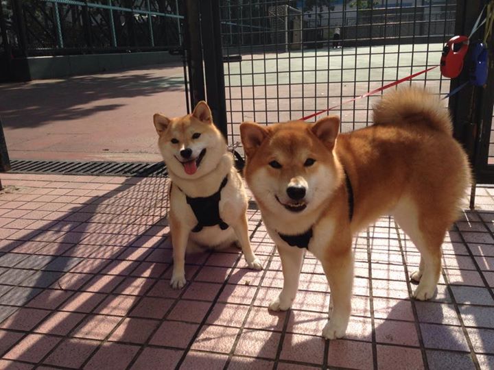 JDG加强选手团队协作能力专项训练