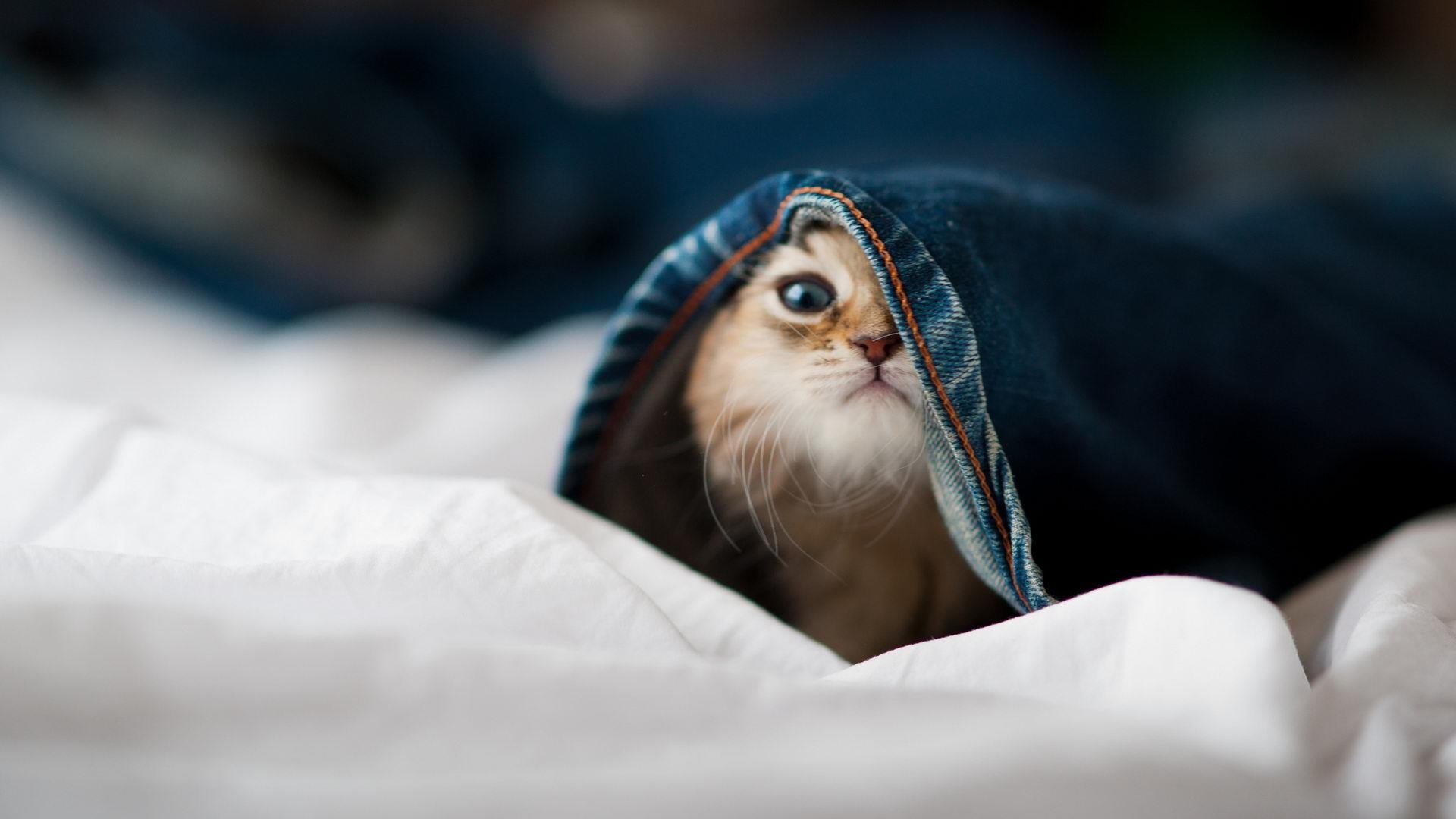 塞维利亚客场全身而退,赢得关键胜利,塞维利亚阵容2020主力阵容